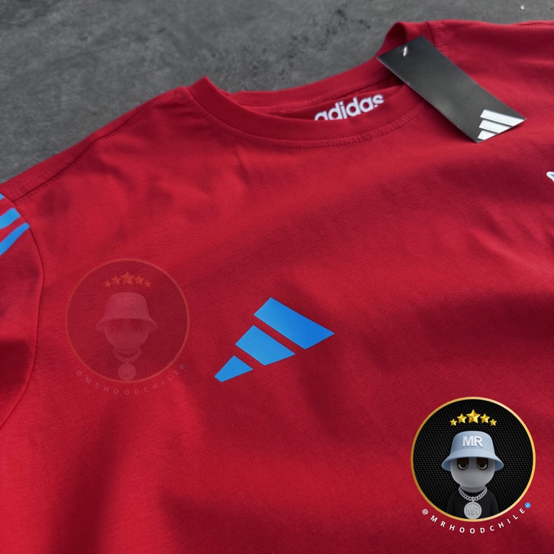 POLERA ADN UNIVERSIDAD DE CHILE