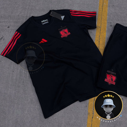 POLERA ADN COLO COLO